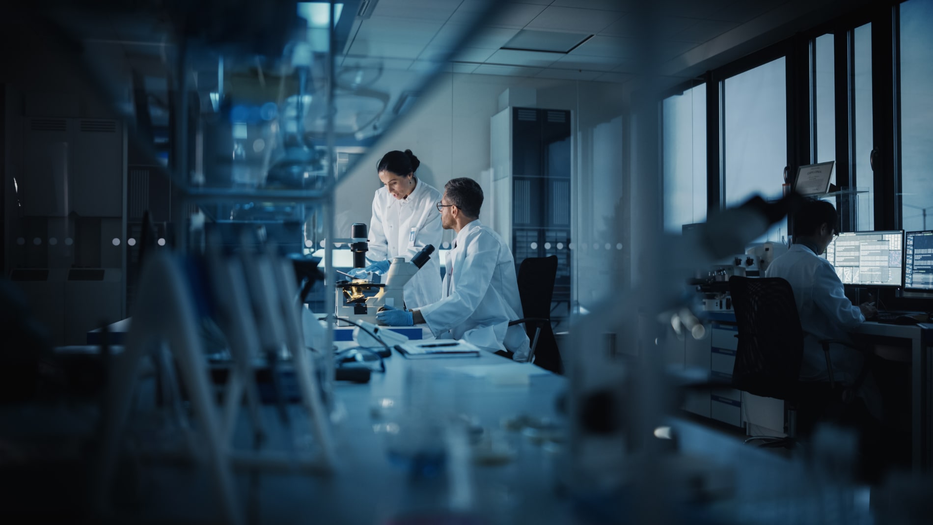Arcivex laboratory