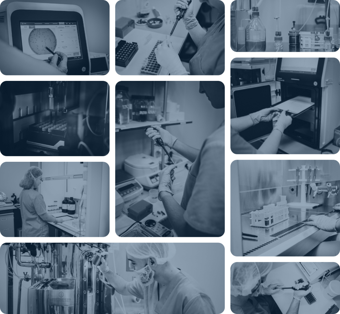 Laboratory